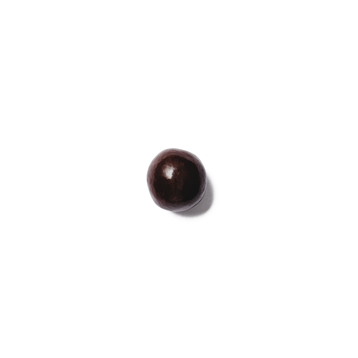 Hazelnut dark